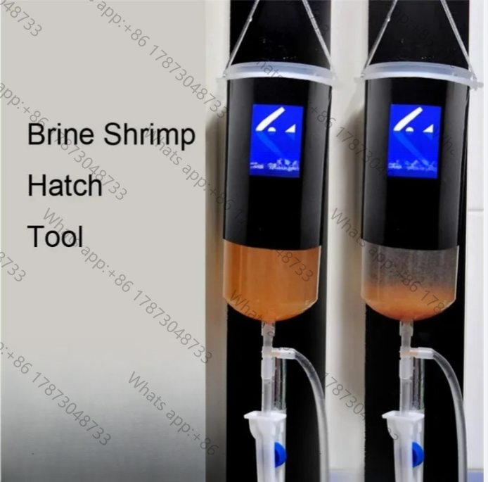 Baby Food Shrimp - Jaja krewetek wróżkowych artemia, żywe, łatwe