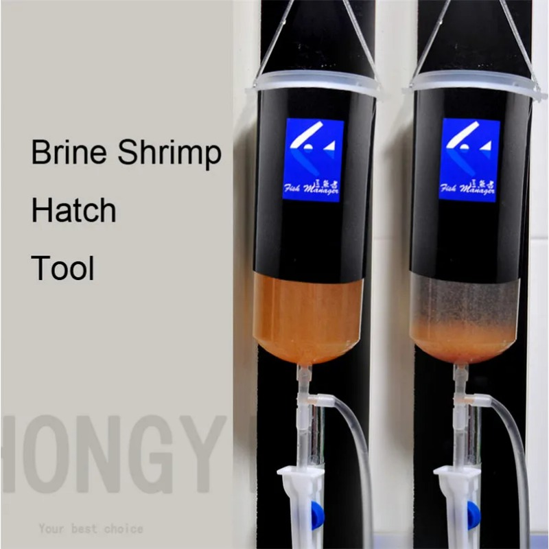 Baby Food Shrimp - Wróżka krewetki jajko artemia żywe łatwe