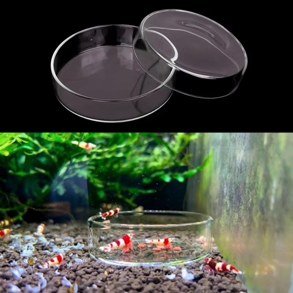 Szklana miska do karmienia akw – Baby Food Shrimp recenzja i cena