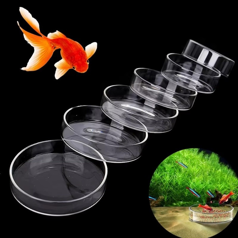 Szklana miska do karmienia akw – Baby Food Shrimp recenzja i cena